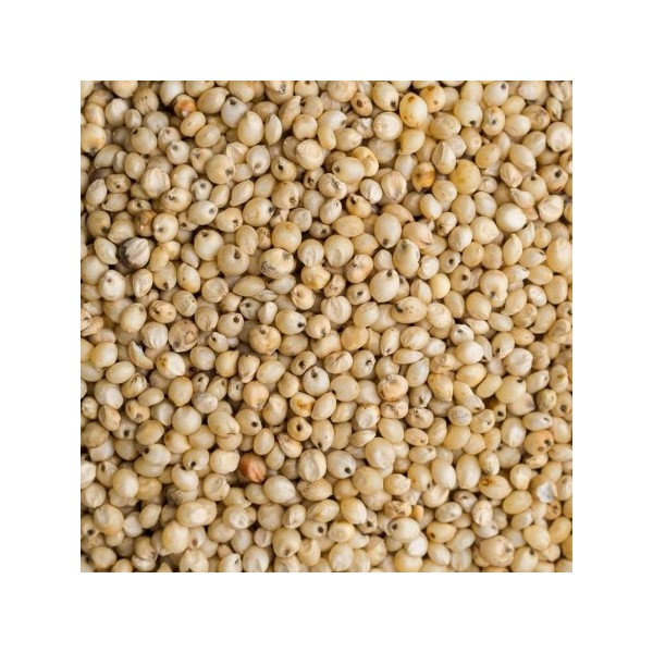 Produits semi-finis à base de sorgho blanc décortiqué – CerealVeneta